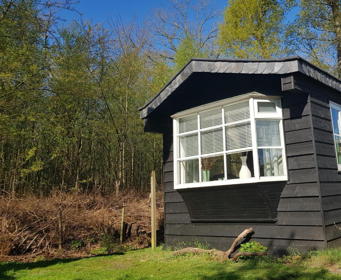 Chalet 2 Pers Met Hottub - Aan De Bosrand - Ijsselmeer - Gaasterland - Bos Rijs Exterior photo